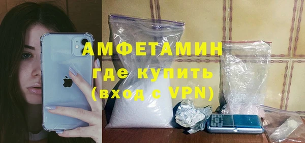 индика Богданович