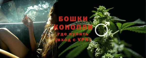 метадон Богородицк