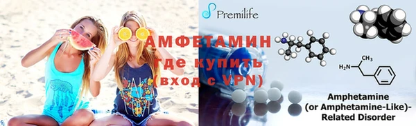 индика Богданович