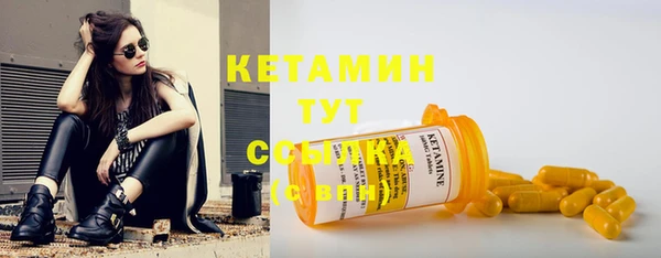 индика Богданович