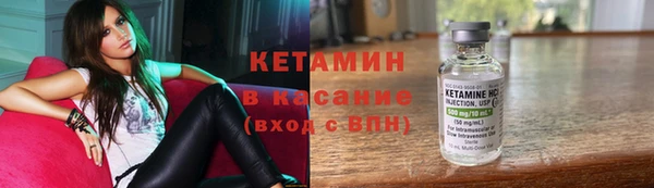 индика Богданович