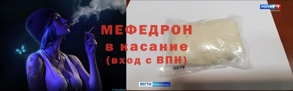индика Богданович
