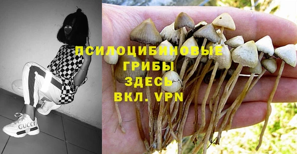 метадон Богородицк