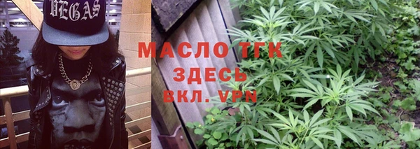 индика Богданович