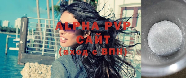 индика Богданович