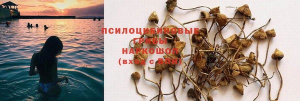 метадон Богородицк