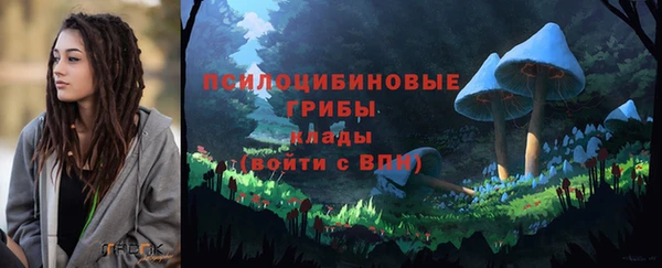 твердый Богородск