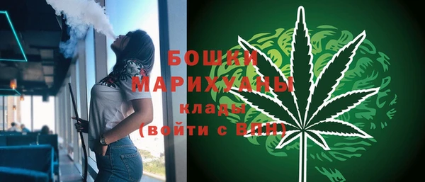твердый Богородск