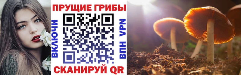 Псилоцибиновые грибы MAGIC MUSHROOMS  где продают   Уссурийск 